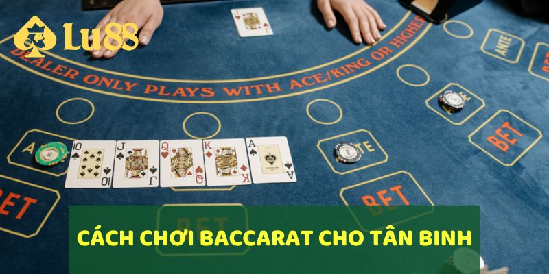Cách Chơi Baccarat Hiệu Quả Tại LU88 Dành Cho Người Mới 7 Cách chơi Baccarat LU88 cho thành viên mới